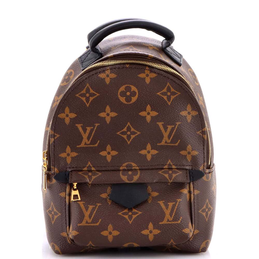 Louis Vuitton Palm Springs Backpack #247552L22B